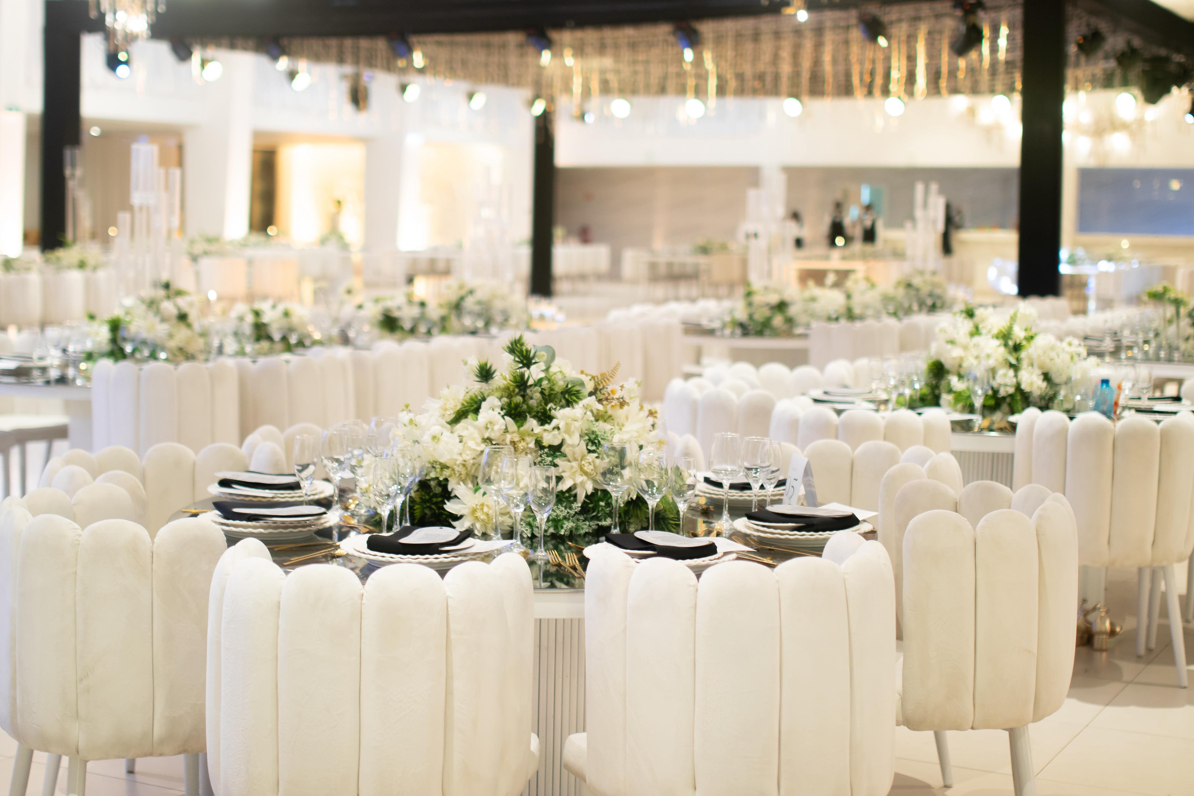 Recepção em Branco